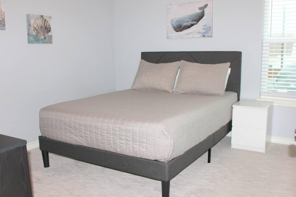 Spacious Home, Short Walk To Beach, Heated Pool! Corpus Christi Exterior foto